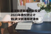 武汉阳逻新港产业投资2023年债权转让计划(武汉新港阳逻港拆迁)