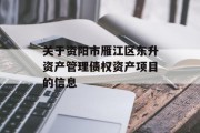 关于资阳市雁江区东升资产管理债权资产项目的信息