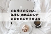 山东潍河城投2023年债权(潍坊滨城投资开发有限公司信用评级)