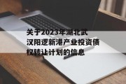 关于2023年湖北武汉阳逻新港产业投资债权转让计划的信息