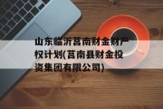 山东临沂莒南财金财产权计划(莒南县财金投资集团有限公司)