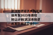 武汉阳逻经济开发区建设开发2023年债权转让计划(武汉市阳逻开发区拆迁公告)