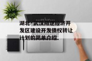 湖北·武汉阳逻经济开发区建设开发债权转让计划的简单介绍