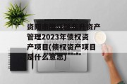 资阳市雁江区东升资产管理2023年债权资产项目(债权资产项目是什么意思)