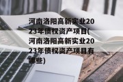 河南洛阳高新实业2023年债权资产项目(河南洛阳高新实业2023年债权资产项目有哪些)
