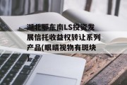 湖北鄂东南LS投资发展信托收益权转让系列产品(眼睛视物有斑块)