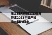 包含四川绵阳富乐投资特定2023年资产拍卖一期的词条
