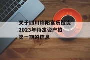 关于四川绵阳富乐投资2023年特定资产拍卖一期的信息