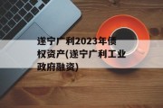 遂宁广利2023年债权资产(遂宁广利工业政府融资)