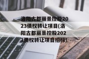 洛阳古都丽景控股2023债权转让项目(洛阳古都丽景控股2023债权转让项目招标)