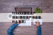 TYXXXX债权资产项目(债权资产项目是什么意思)