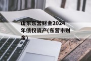 山东东营财金2024年债权资产(东营市财金)