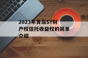 2023年青岛SY财产权信托收益权的简单介绍