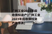 广利工业2023年应收债权资产(广利工业2023年应收债权资产负债表)