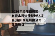 2024年洛阳西苑国有资本投资债权转让项目(洛阳西苑城投公司在建项目)