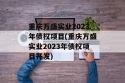 重庆万盛实业2023年债权项目(重庆万盛实业2023年债权项目开发)