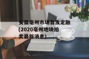 安徽亳州市场首发定融(2020亳州地块拍卖最新消息)