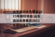 山东晟润水务集团2023年债权项目(山东晟润水务集团2023年债权项目招标)