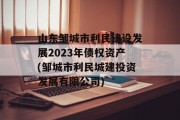 山东邹城市利民建设发展2023年债权资产(邹城市利民城建投资发展有限公司)