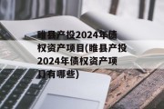 睢县产投2024年债权资产项目(睢县产投2024年债权资产项目有哪些)