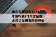 山东东营财金2024年债权资产(东营区财金投资发展有限责任公司)