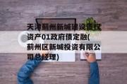 天津蓟州新城建设债权资产01政府债定融(蓟州区新城投资有限公司总经理)