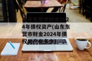 山东东营市财金2024年债权资产(山东东营市财金2024年债权资产有多少)