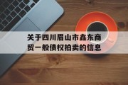 关于四川眉山市鑫东商贸一般债权拍卖的信息