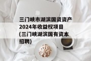 三门峡市湖滨国资资产2024年收益权项目(三门峡湖滨国有资本招聘)