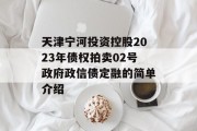 天津宁河投资控股2023年债权拍卖02号政府政信债定融的简单介绍