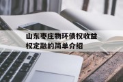 山东枣庄物环债权收益权定融的简单介绍