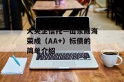 大央企信托—山东威海荣成（AA+）标债的简单介绍