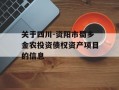 关于四川-资阳市蜀乡金农投资债权资产项目的信息