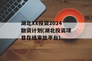 湖北XX投资2024融资计划(湖北投资项目在线审批平台)
