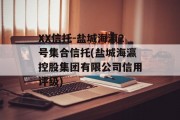 XX信托-盐城海瀛2号集合信托(盐城海瀛控股集团有限公司信用评级)