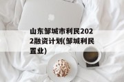 山东邹城市利民2022融资计划(邹城利民置业)
