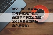 遂宁广利工业发展2023年特定资产拍卖产品(遂宁广利工业发展2023年特定资产拍卖产品公告)