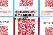 关于红码9号-遂宁广利工业2022债权（5）的信息