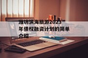 潍坊滨海旅游2023年债权融资计划的简单介绍
