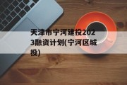 天津市宁河建投2023融资计划(宁河区城投)