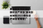 重庆彭水城投2023债权资产项目(重庆彭水城投2023债权资产项目有哪些)