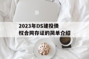 2023年DS建投债权合同存证的简单介绍