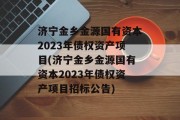 济宁金乡金源国有资本2023年债权资产项目(济宁金乡金源国有资本2023年债权资产项目招标公告)