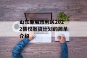 山东邹城市利民2022债权融资计划的简单介绍