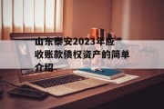 山东泰安2023年应收账款债权资产的简单介绍