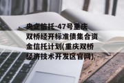 央企信托-47号重庆双桥经开标准债集合资金信托计划(重庆双桥经济技术开发区官网)