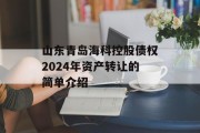 山东青岛海科控股债权2024年资产转让的简单介绍