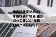 重庆鸿业实业2024年债权资产项目(重庆鸿业实业2024年债权资产项目招标)