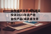 山东成武文亭城市建设投资2023年资产收益权产品(成武县文亭街)