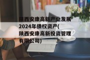陕西安康高新产业发展2024年债权资产(陕西安康高新投资管理有限公司)